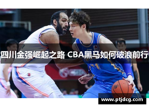 四川金强崛起之路 CBA黑马如何破浪前行