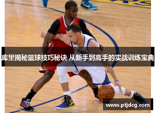 库里揭秘篮球技巧秘诀 从新手到高手的实战训练宝典